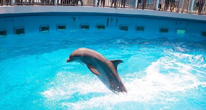 * Calme 4 famille * Marche de la plage - Cuisine, K / Q 4 couchages, Ăquipement de plage / TRAM / WiFi