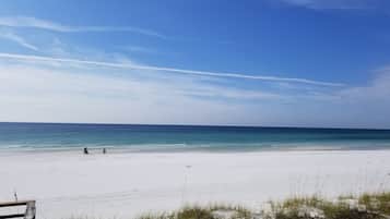 Playa en los alrededores y camastros