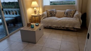 Televisión, chimenea, reproductor de DVD y libros