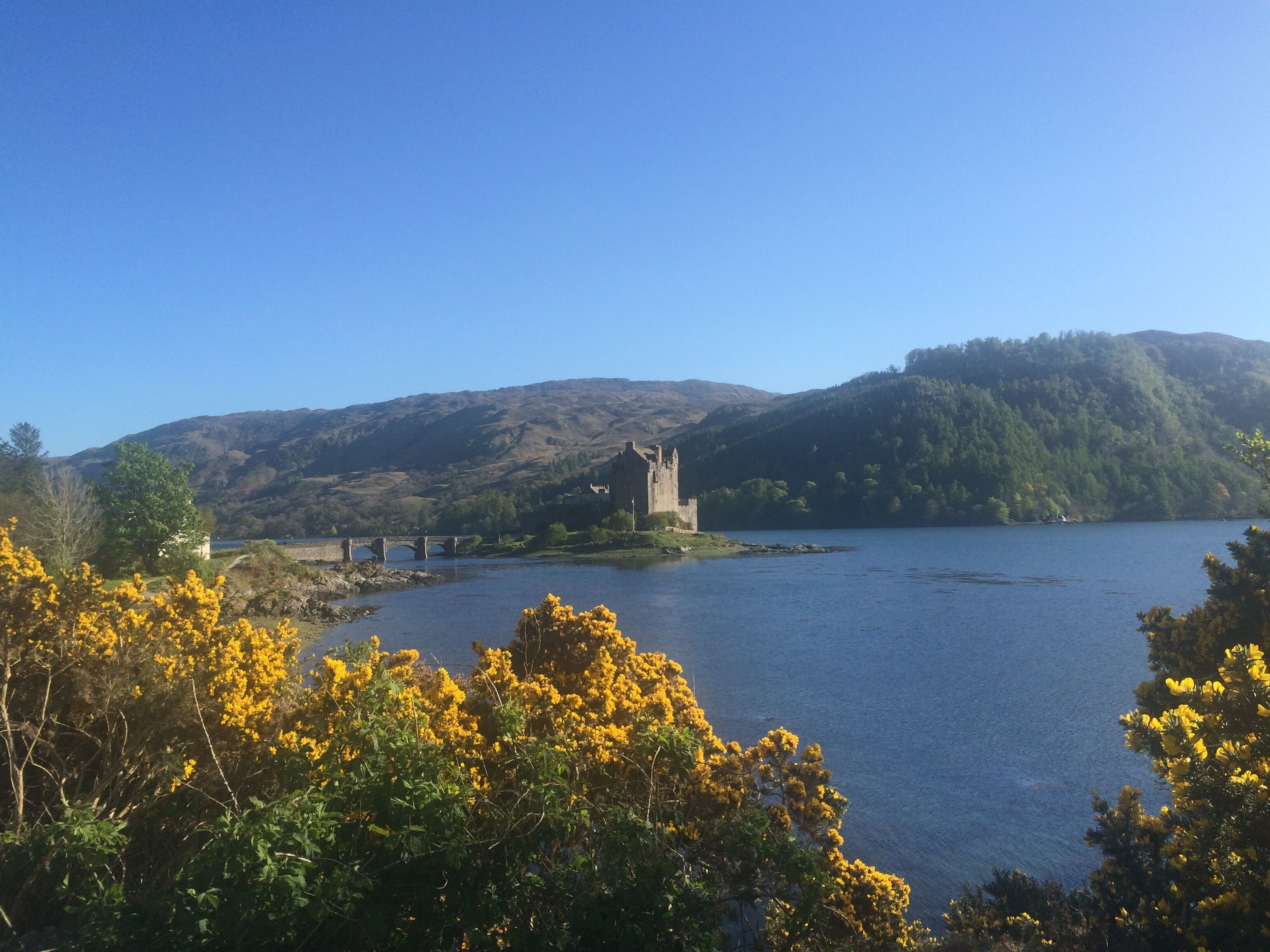 A castle on a lake surrounded by hills.