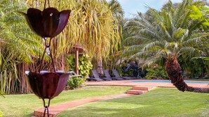 Een goed onderhouden tuin met een zwembad, palmbomen en een decoratieve hangconstructie.