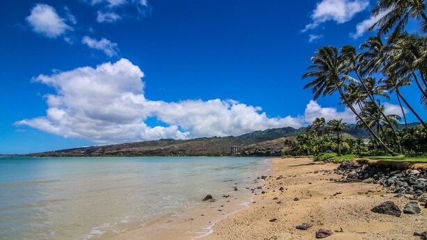 Een strand met helder turquoise water, een zandstrand en palmbomen.