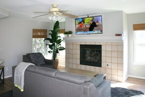 Smart TV, fireplace, books