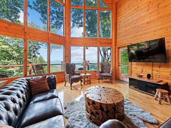 TV, fireplace, DVD player, books