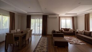 Amplia sala de estar con una mesa de comedor de madera, dos sofás y un tapete grande.
