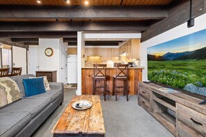 Smart TV, fireplace, DVD player, books