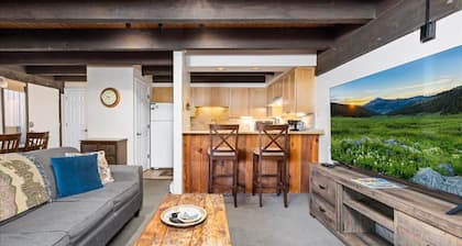 Cuivre Mtn - TC210. Excellent rapport qualité / prix pour l'emplacement au pied des pistes !!