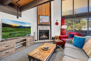 Smart TV, fireplace, DVD player, books