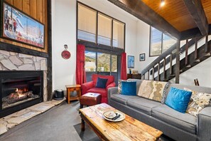 Smart TV, fireplace, DVD player, books
