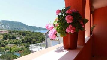 Quang cảnh nhìn từ nơi lưu trú