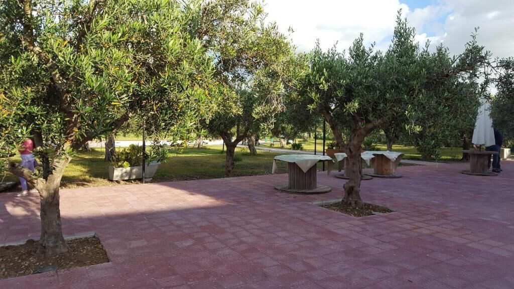 An outdoor area with trees and benches.