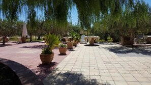 Jardín