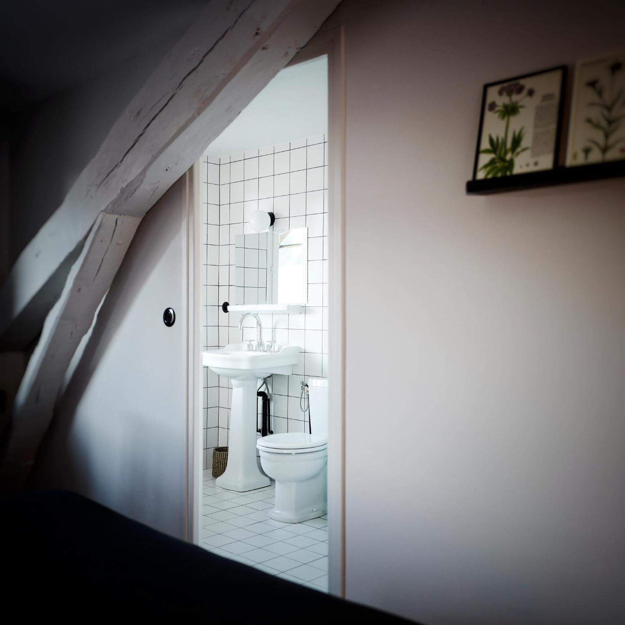 free toiletries, hair dryer, towels, shampoo