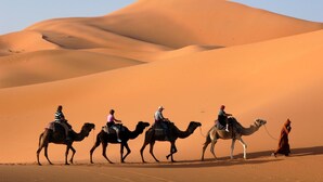 Property grounds - Aladdin Camp (M'Hamid El Ghizlane)