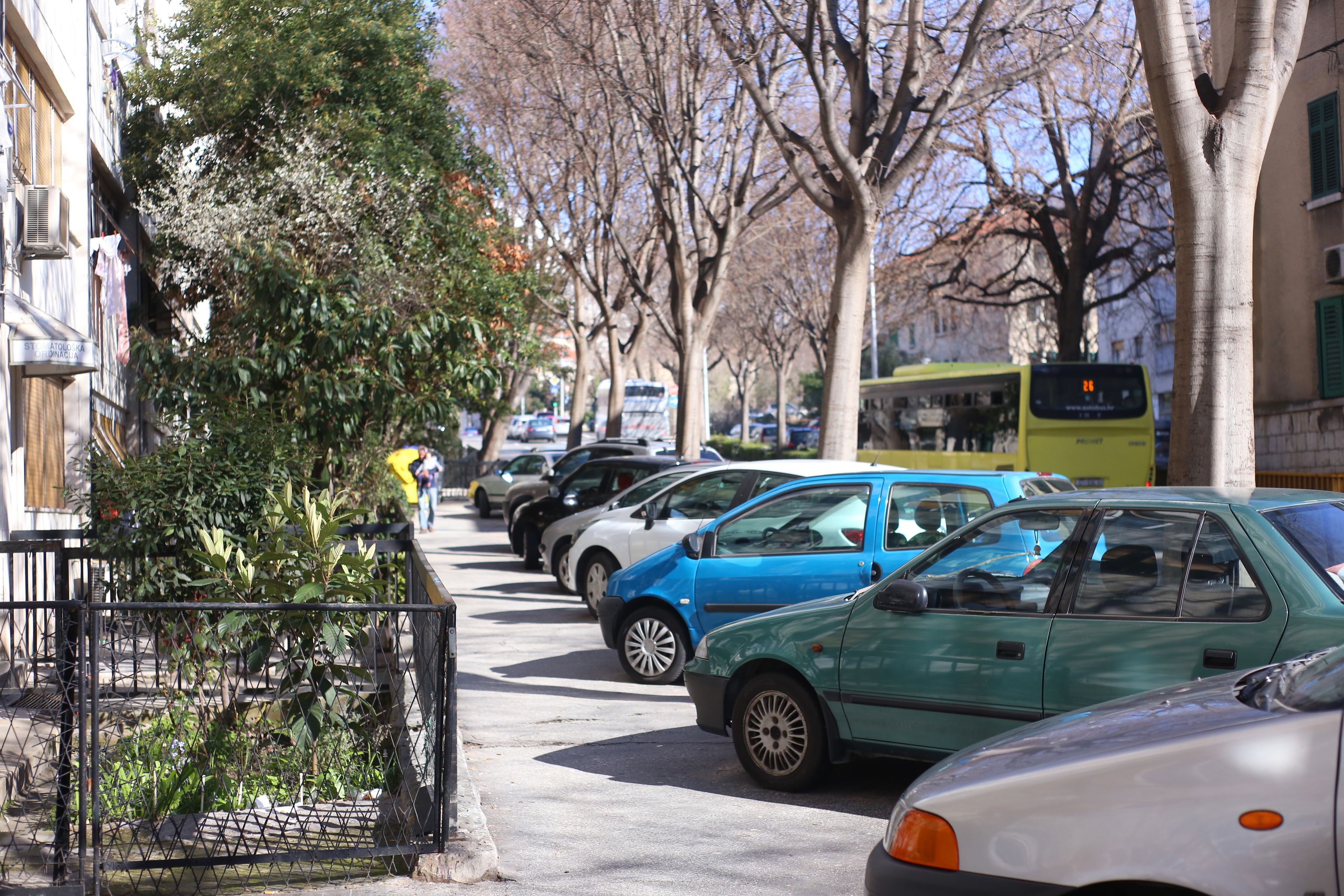 A row of parked cars along a tree-lined street.