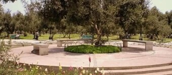 B&B El Olivar