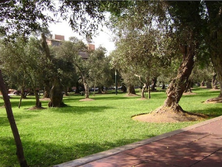 Áreas de la propiedad. B&B El Olivar