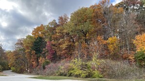 A road curving through a forest with autumn foliage. - Royal Motel (Martinsville)