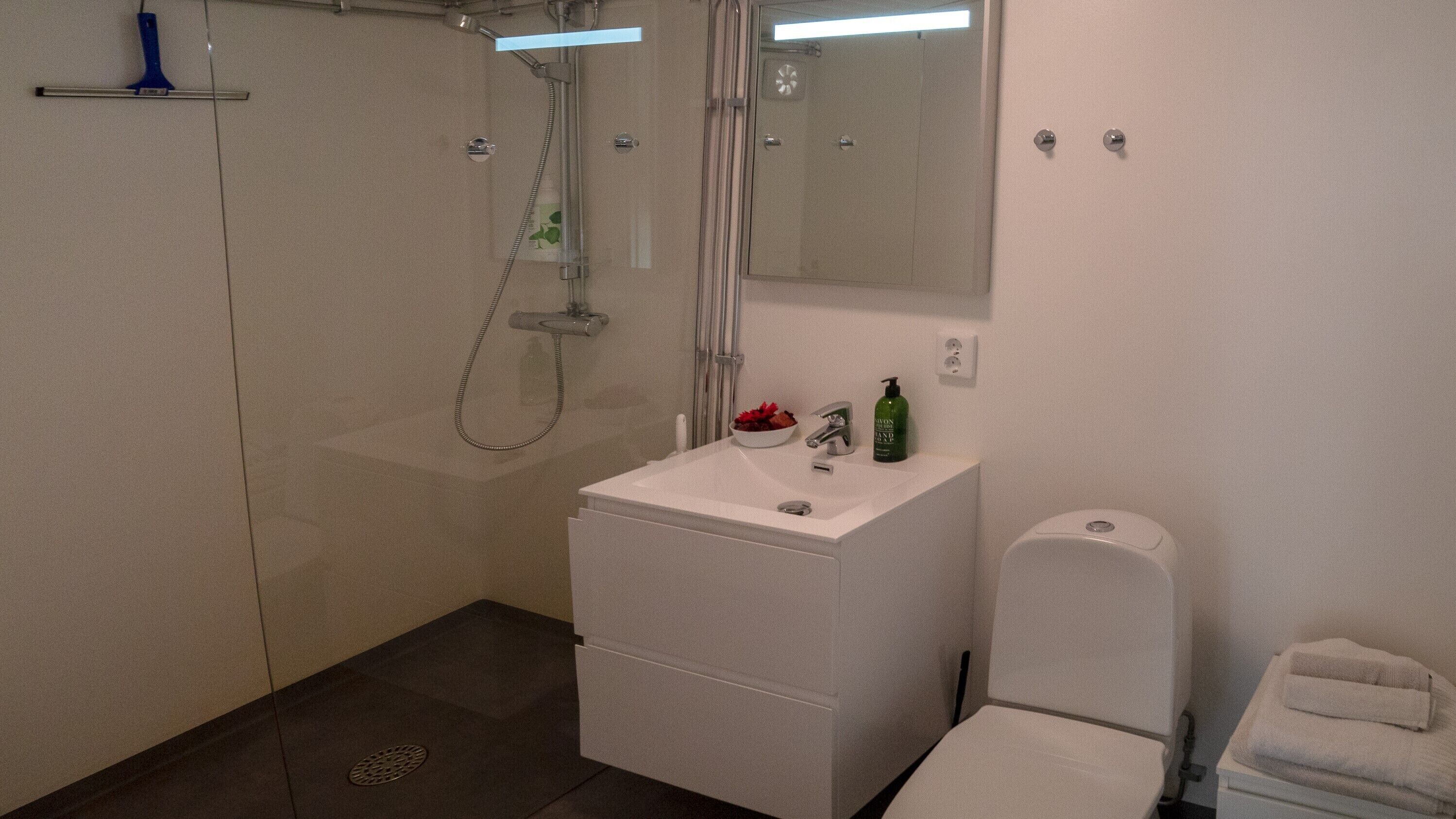 A bathroom with a shower, sink, toilet, and a mirror.