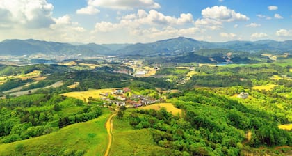 Pungcha & Herb Pension