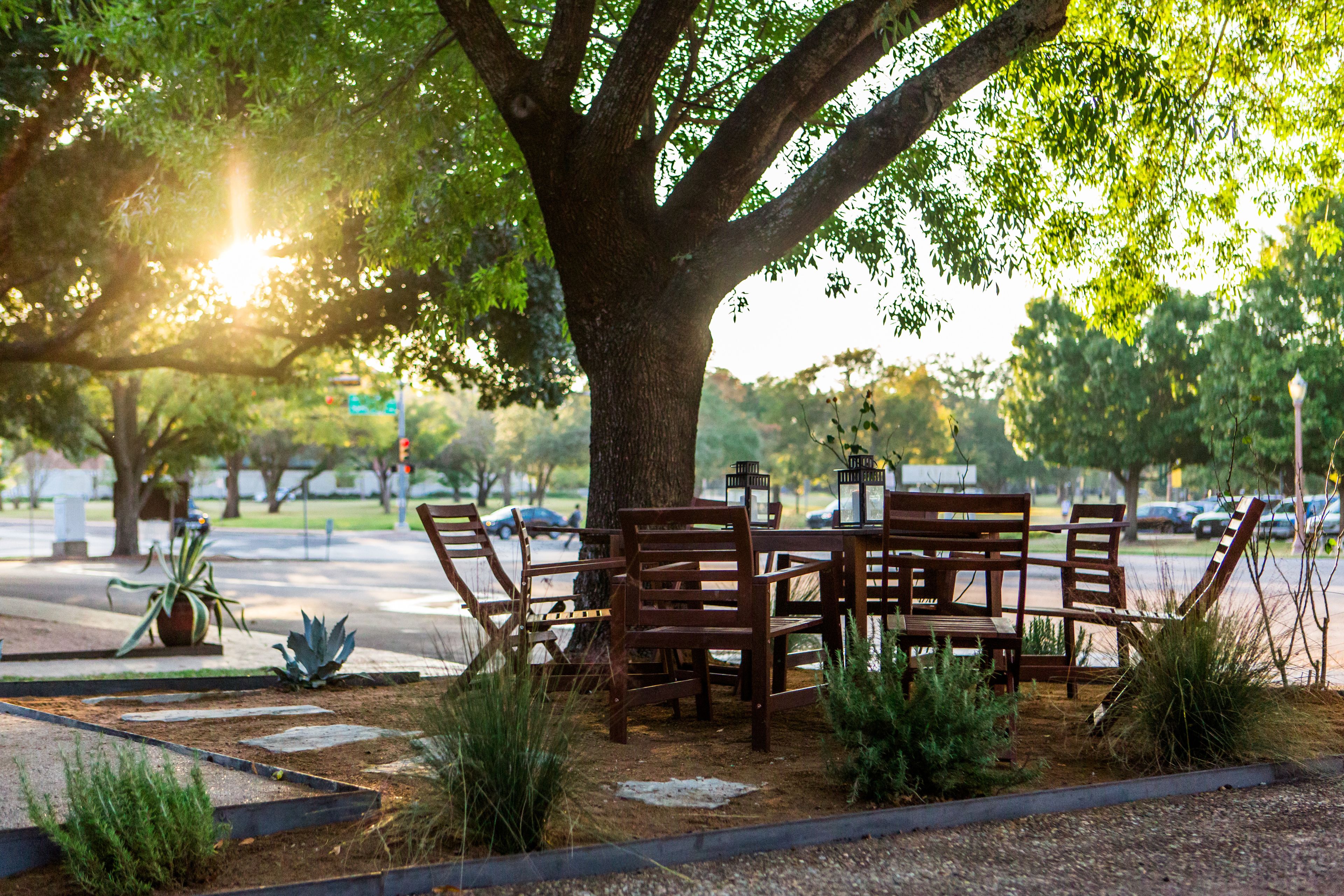 An outdoor seating area with wooden benches and tables under a large tree, surrounded by small plants and a paved walkway.
