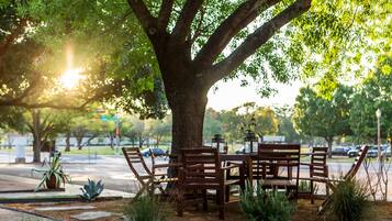 An outdoor seating area with wooden benches and tables under a large tree, surrounded by small plants and a paved walkway.
