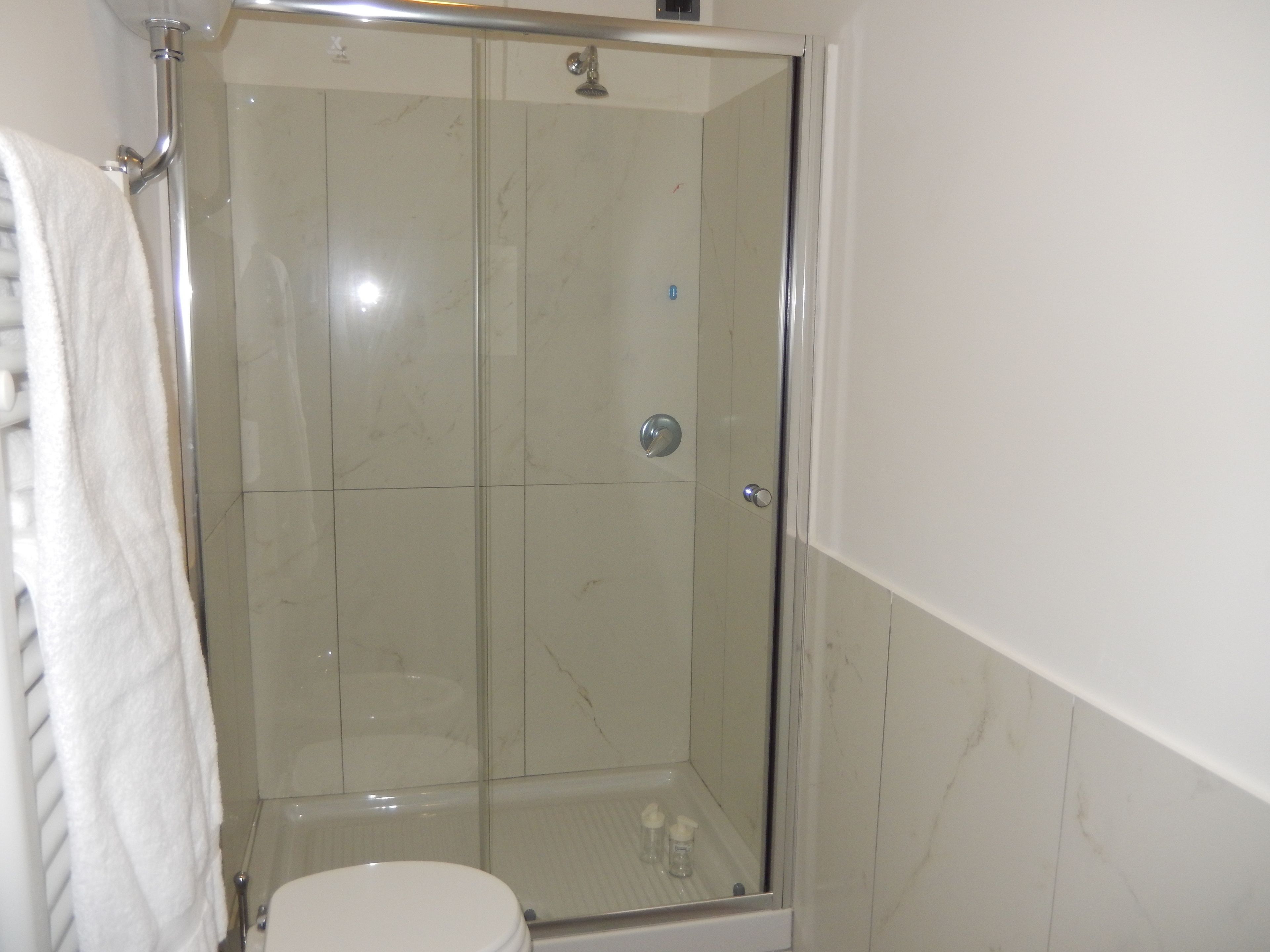 A glass-enclosed shower with a white toilet and a towel rack.