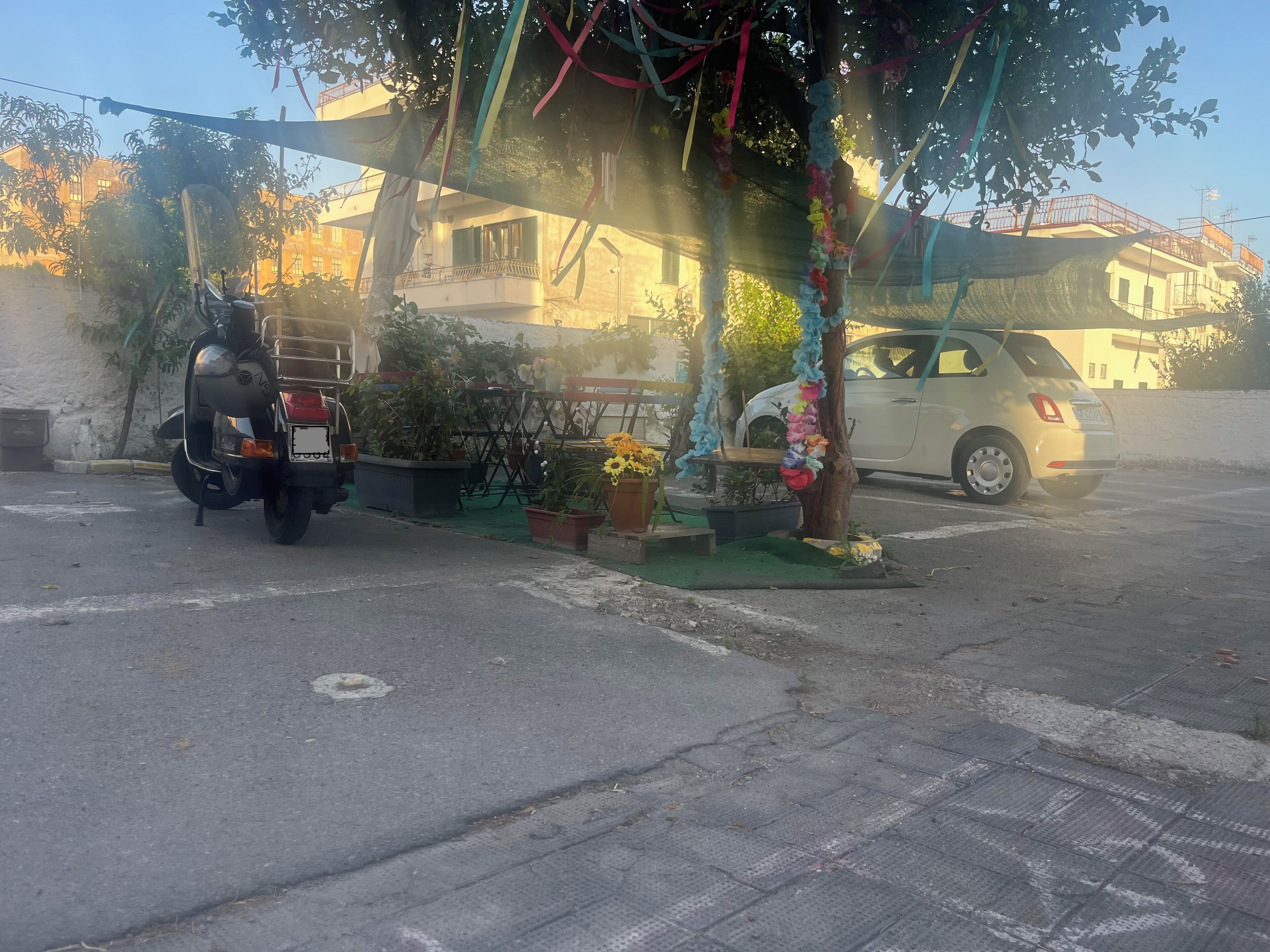 Foto - Il vecchio Fauno