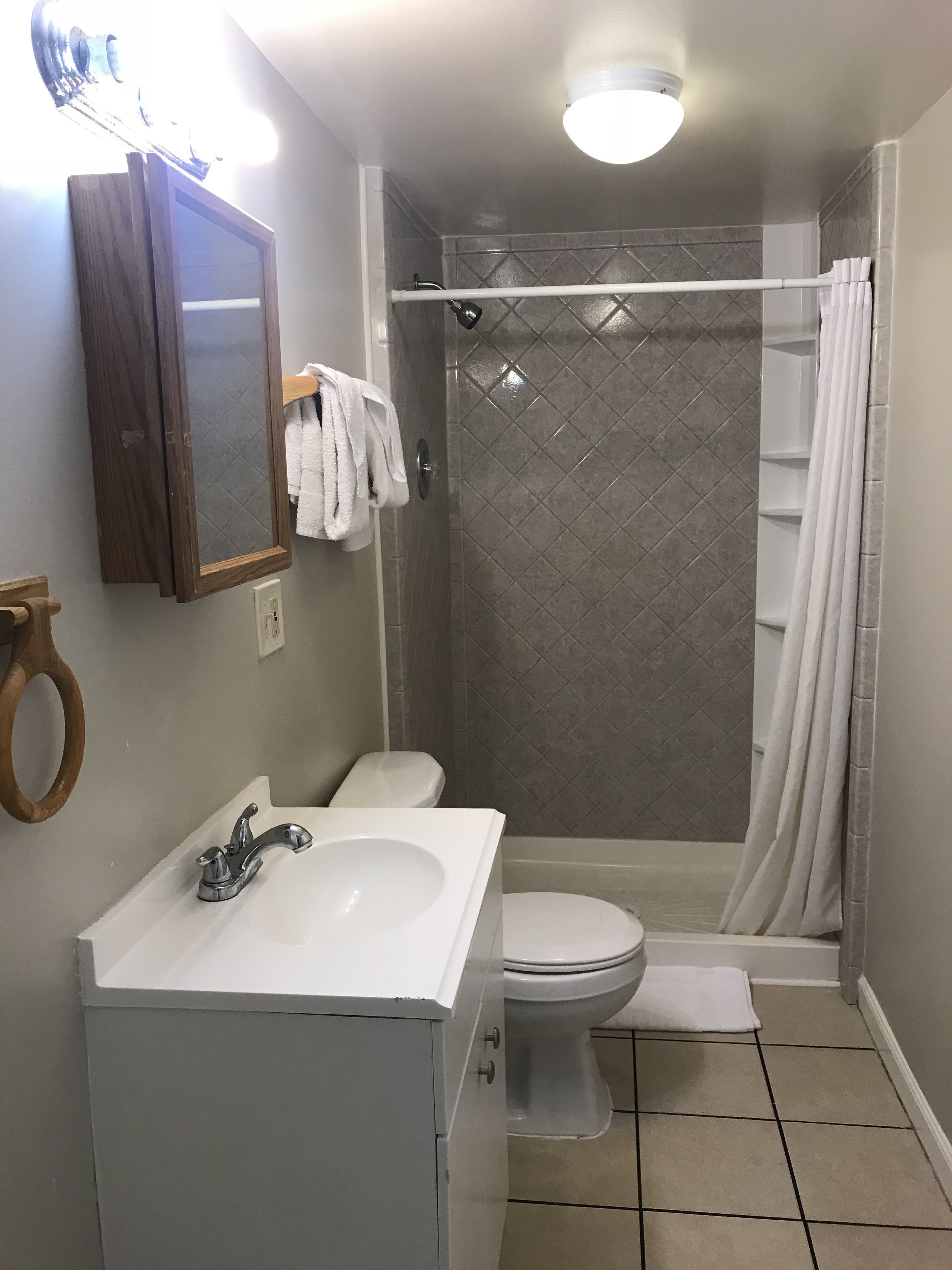 A bathroom with a sink, toilet, and shower.