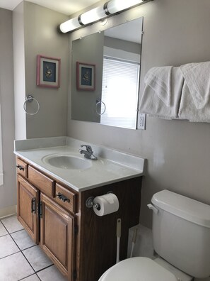 Exclusive Apartment, 3 Bedrooms, 2 Bathrooms, Garden View (with private sun room, A01) | Bathroom | Combined shower/bathtub, hair dryer