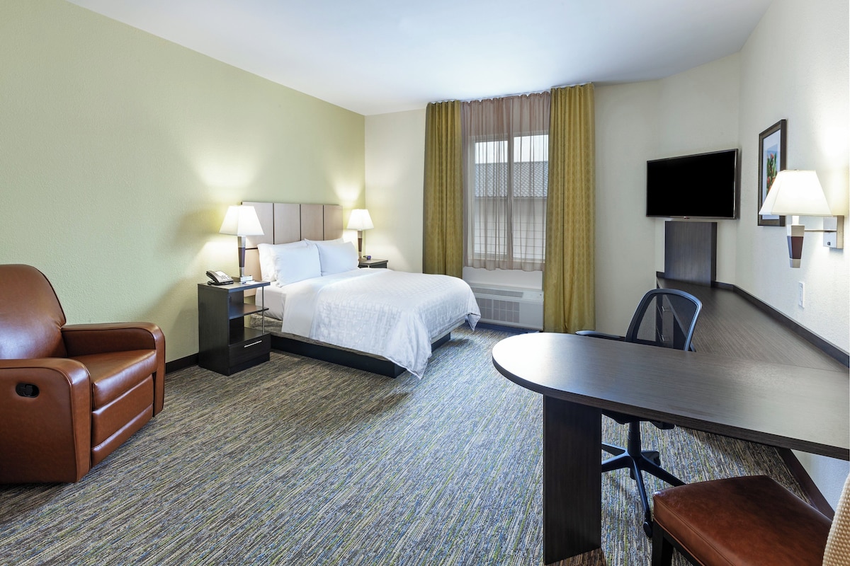 A hotel room with a bed, a desk, a chair, a sofa, a TV, and a telephone.