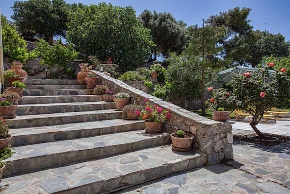 A stone staircase with potted plants leading up to a garden area.