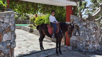 Majoituspaikan sisäänkäynti