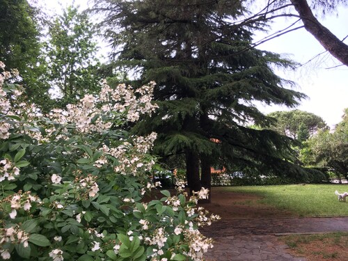 Bed and Breakfast Bio Salix