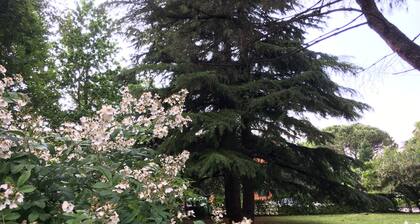 Bed and Breakfast Bio Salix