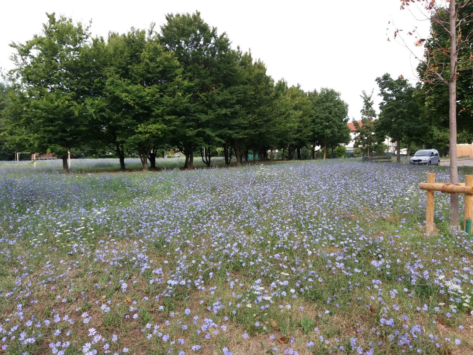 Photo - Bed and Breakfast Bio Salix