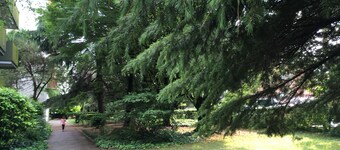 Bed and Breakfast Bio Salix