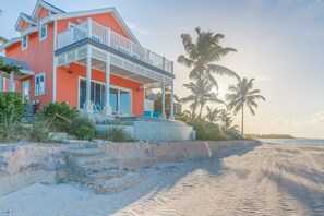Exterior - Bird of paradise, shooting (Governors Harbour)