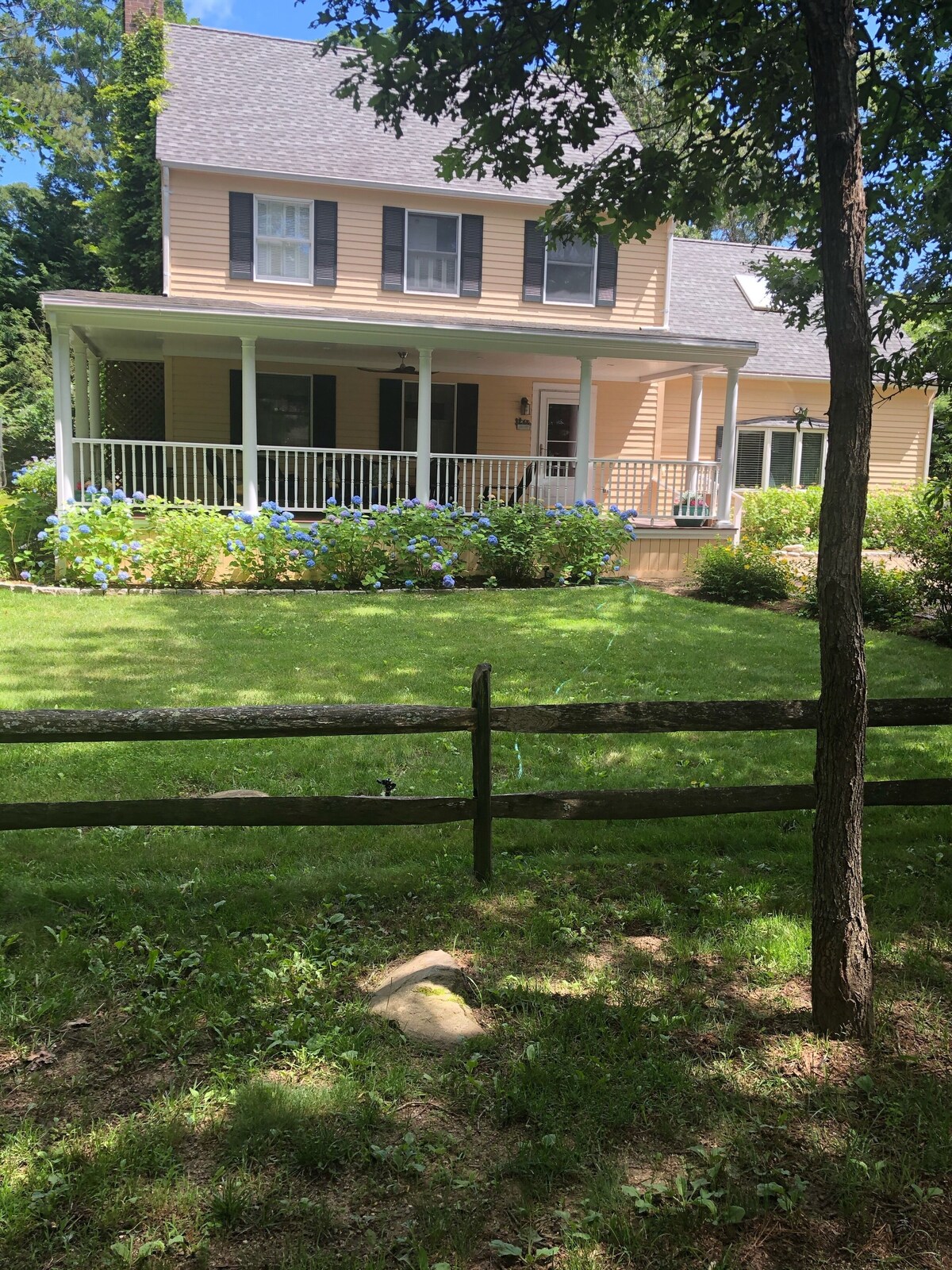 Image de profil de l’hôte