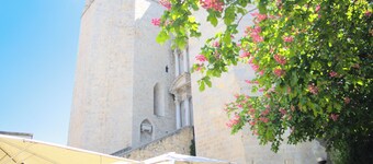 Charming flat next to the Cathedral