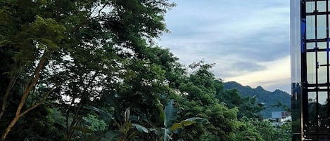 A swimming pool with a view of a mountain range, surrounded by lush greenery and a modern building.