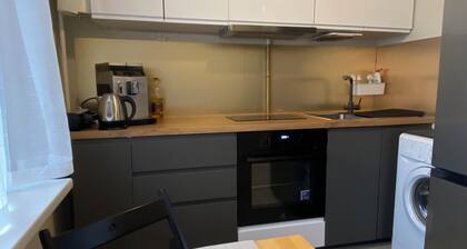 Yhden makuuhuoneen huoneisto 30. 3 m2