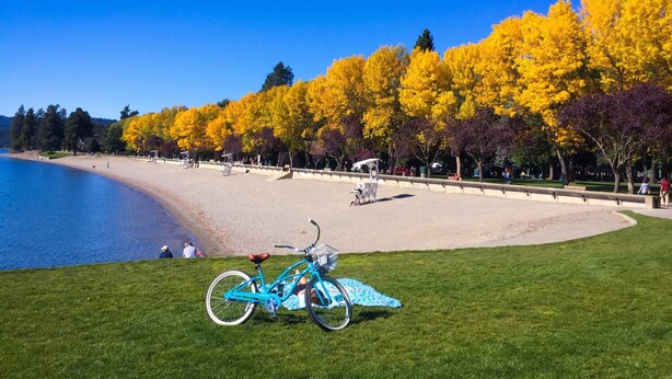A beach with a bicycle parked on the grass, a clear sky, and yellow trees in the background. - The Immaculate Guest Cottage In Downtown Coeur  D'Alene (Coeur d'Alene)