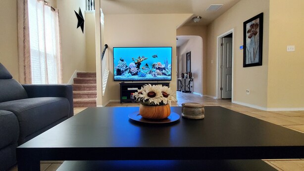 Una sala de estar con un sofá, una mesa de centro con un jarrón de flores y un televisor mostrando una escena submarina.