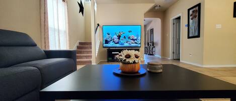 LED TV, Netflix, Hulu, toys