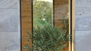 A modern interior with a potted plant in a corner, a wooden floor, and a large window.