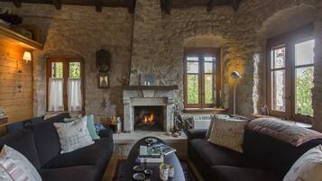 Una televisión, una chimenea, libros, una biblioteca de música