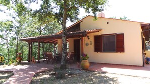 Une maison dotée d’un patio couvert, d’une grande fenêtre avec volets et d’un jardin agrémenté de plantes en pot.