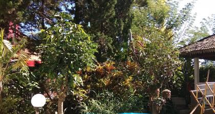 Villa Agro Kusuma Batu Malang