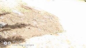 Uma casa de dois andares com varanda, telhado ladrilhado e um jardim com plantas e uma bicicleta.